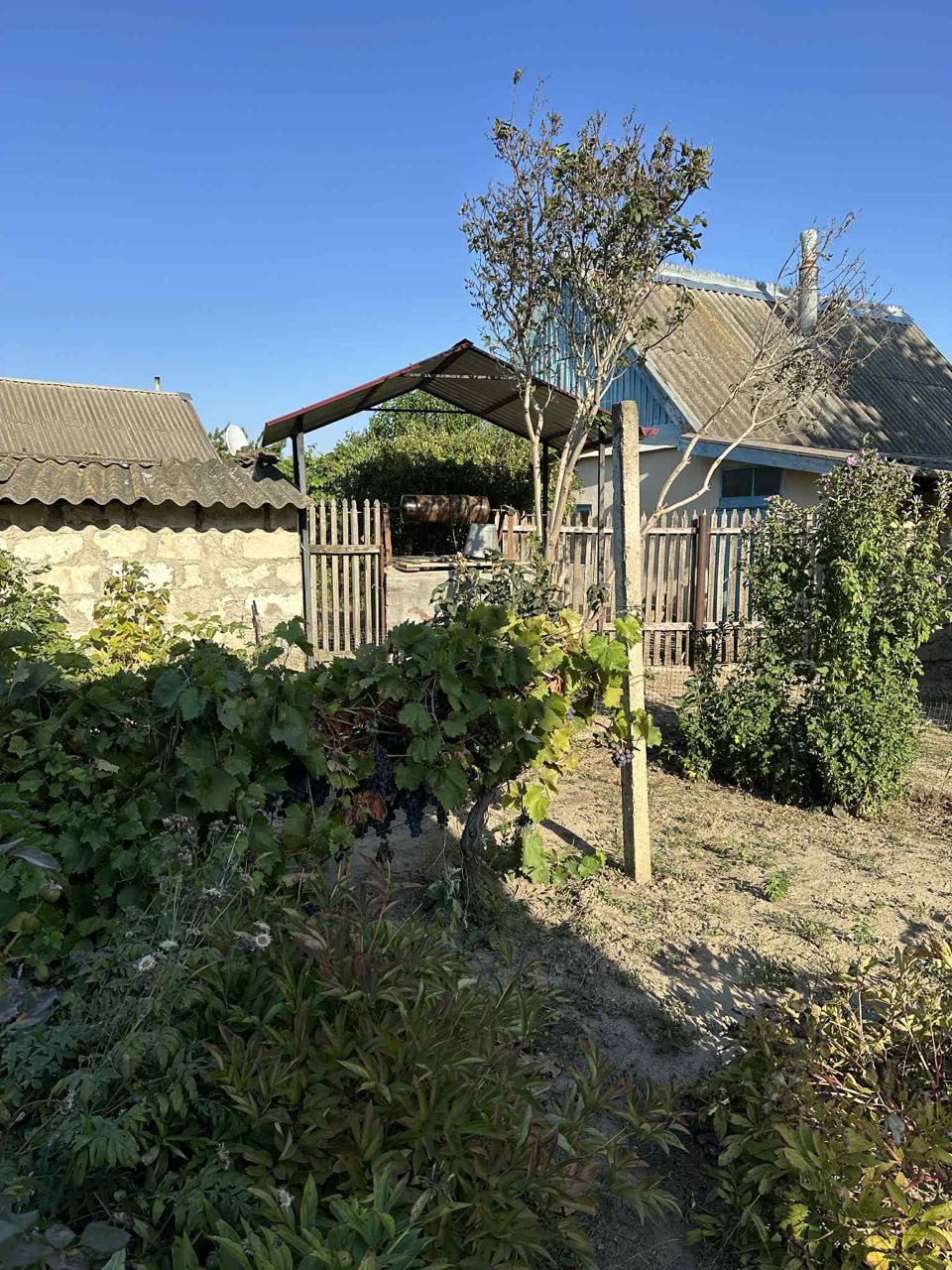 Casă de locuit  foto 3