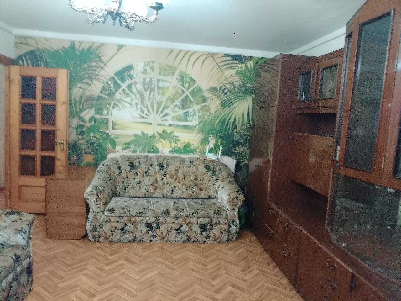 Botanica, ул. Люба Думитриу