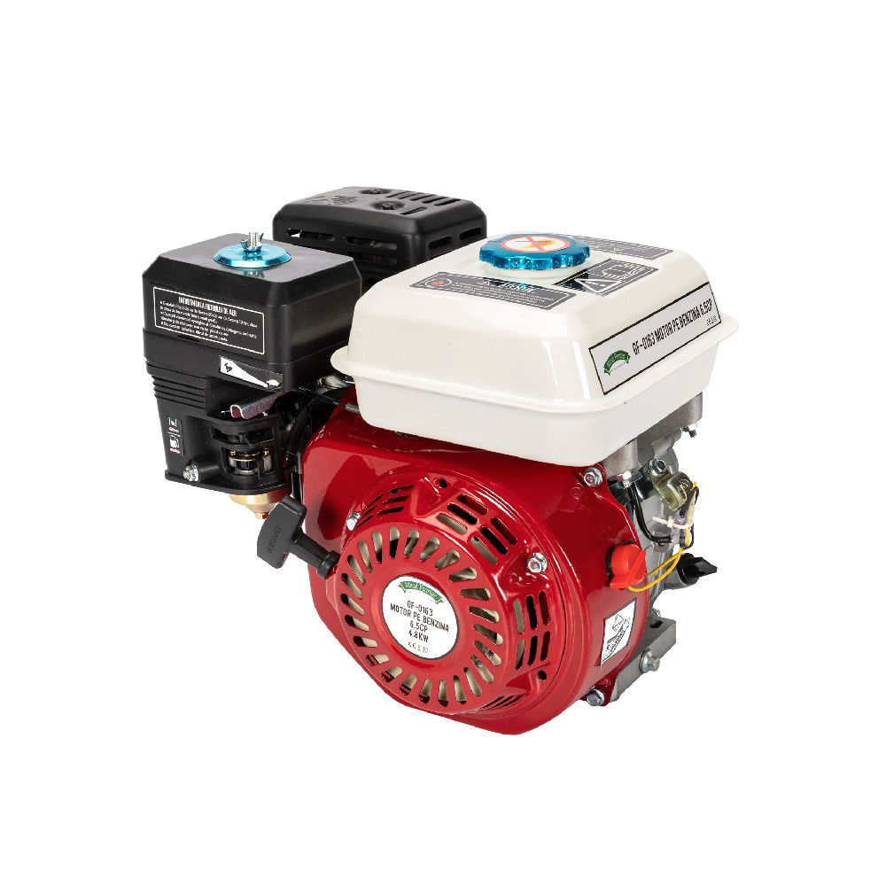 Motor benzina 6/5 C:P Sponka Micul Fermier / Achitare 6-12 rate / Livrare / Garantie 2 ani фото 0