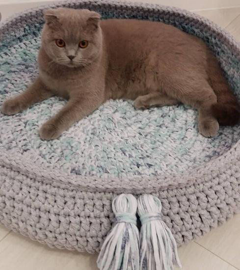 Лежанки для любимых котиков