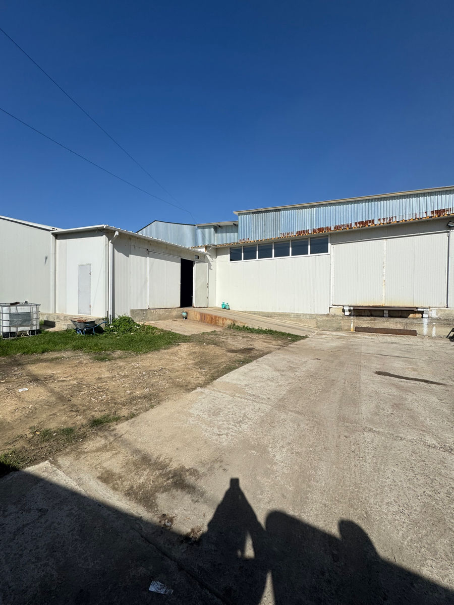 Depozit cu camere frigorifice de vânzare – Zona industrială foto 0