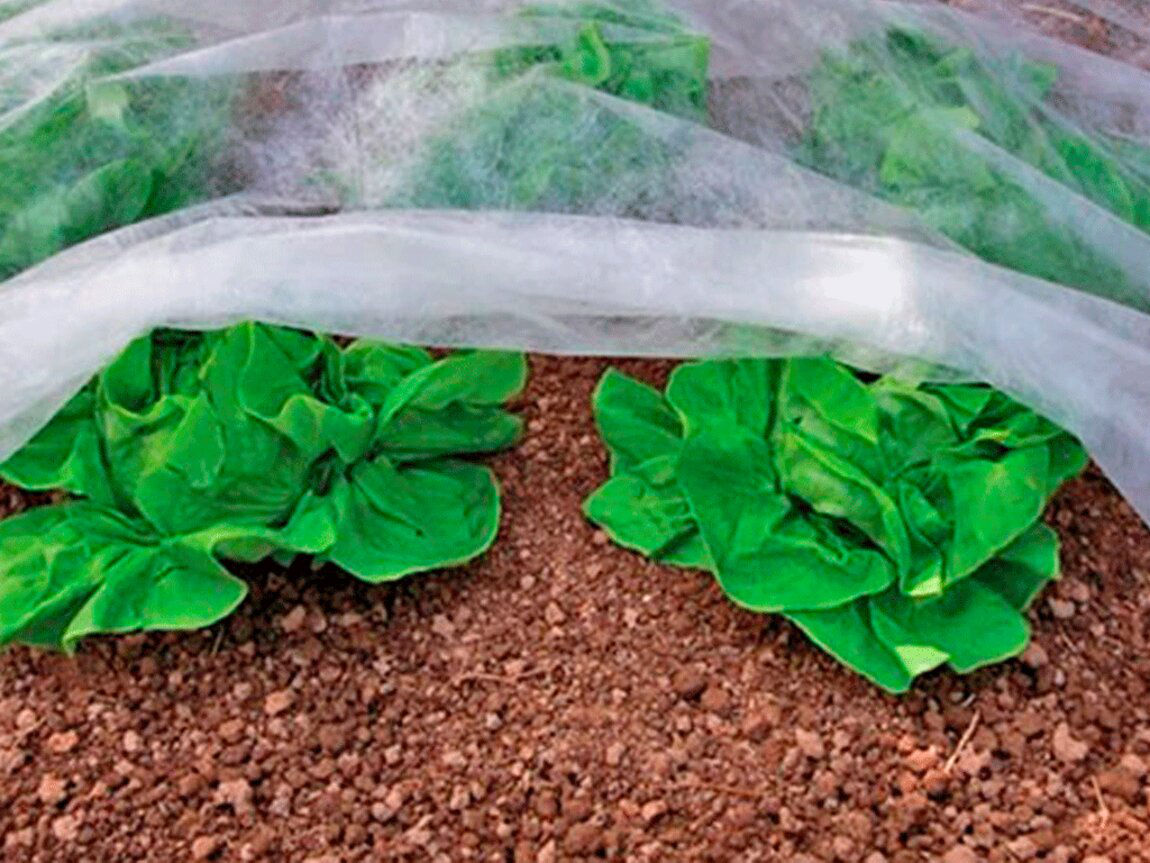 Агроволокно укрывное мульчирующее, спанбонд. Agrotextil, spanbond foto 2