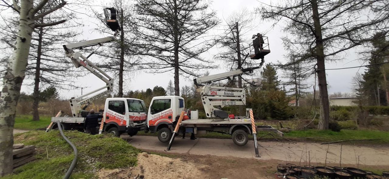 Curățim copaci  de înălțime mare cu mașini Autoturn și toate echipamentele necesare! foto 3