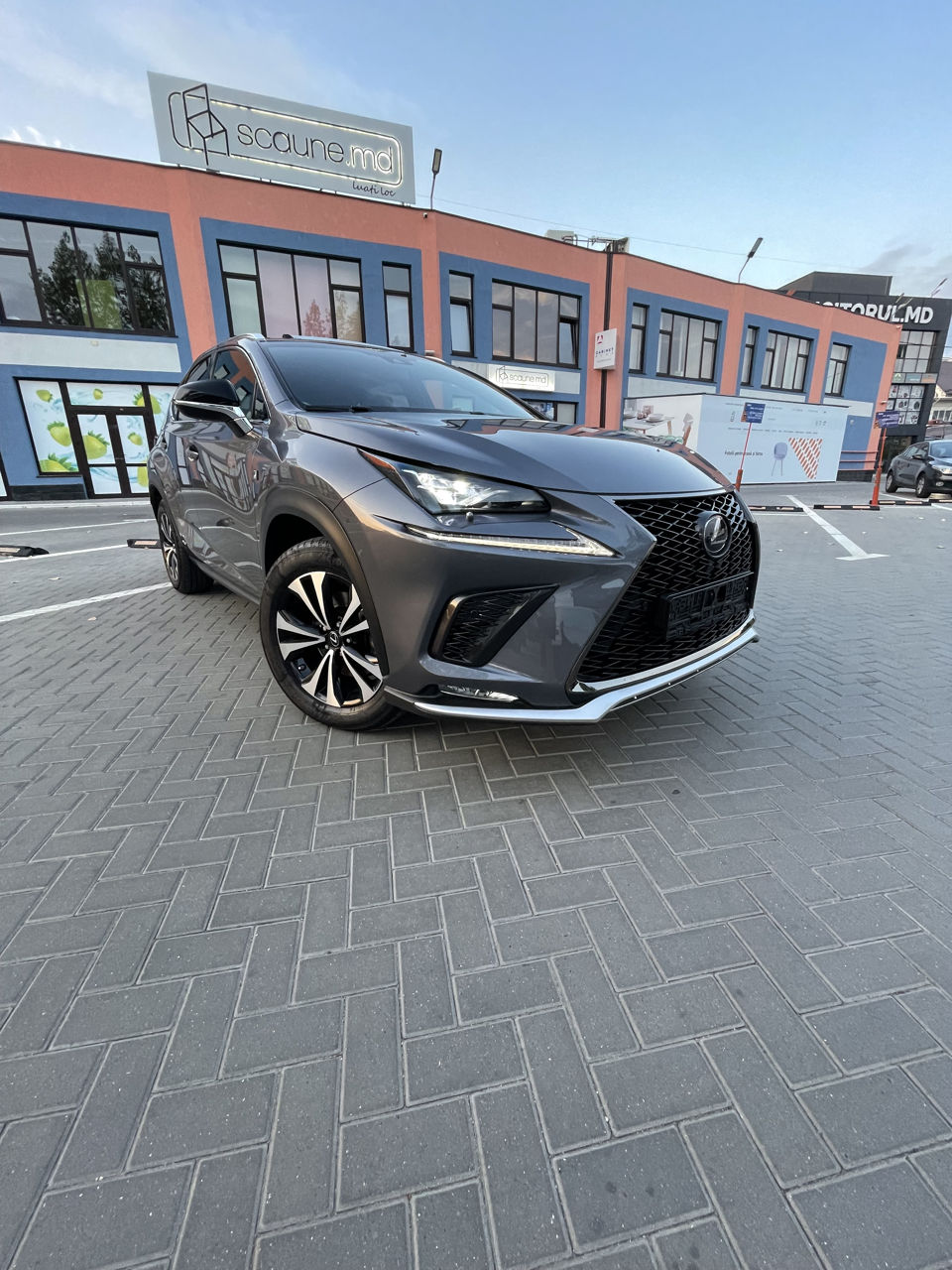 Lexus NX Series foto 1