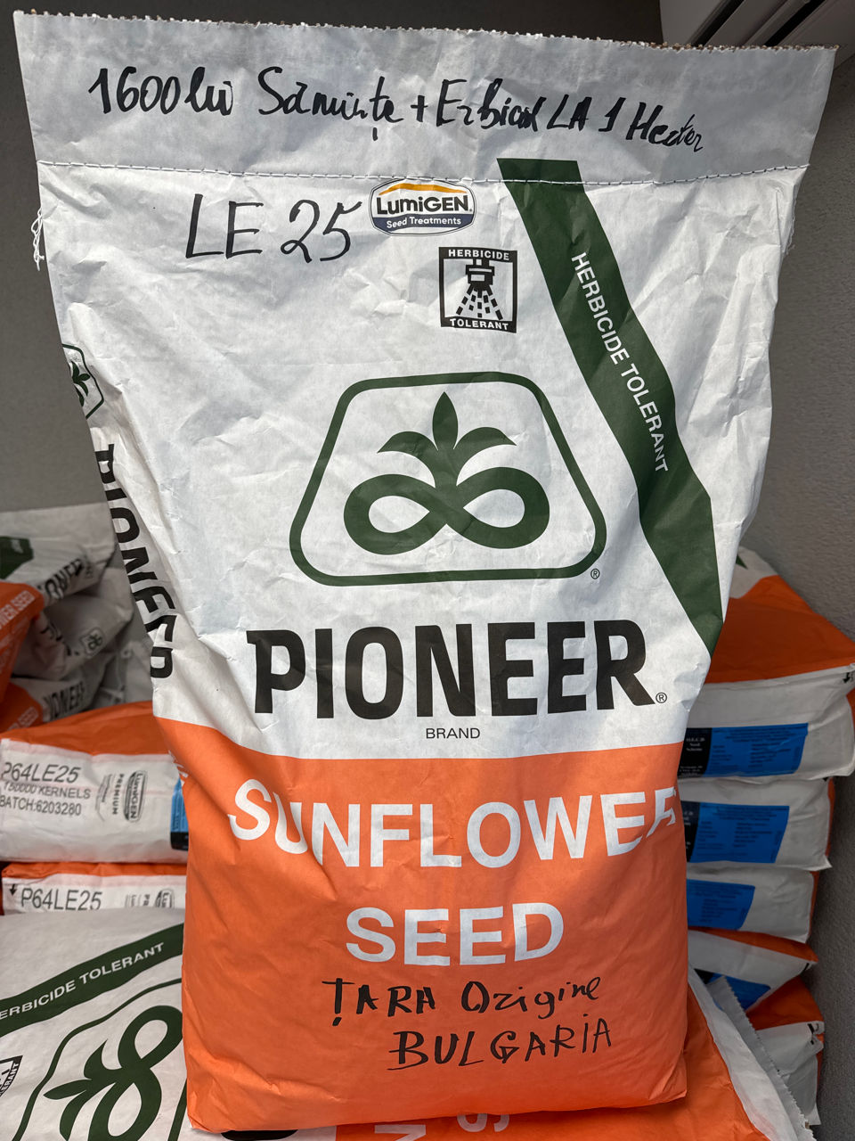 Oferta 2025 semințe Floarea soarelui +erbicid=1050 lei hectarul. foto 9