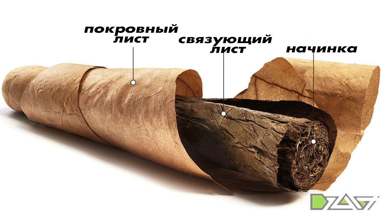 Seminte tutun cемена табака разные сорта!!! foto 6