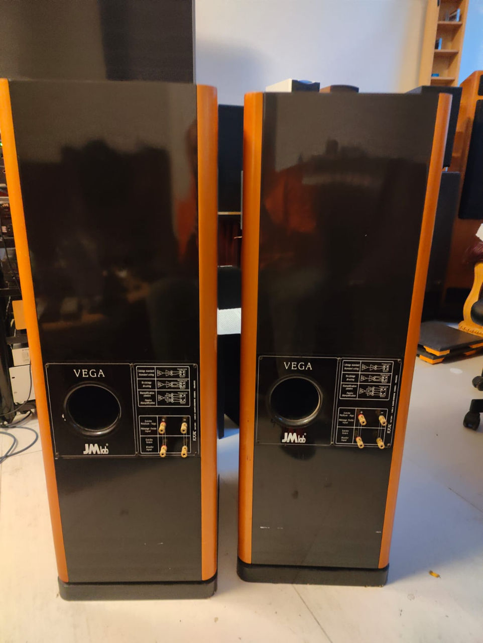 Jm lab vega фото 2