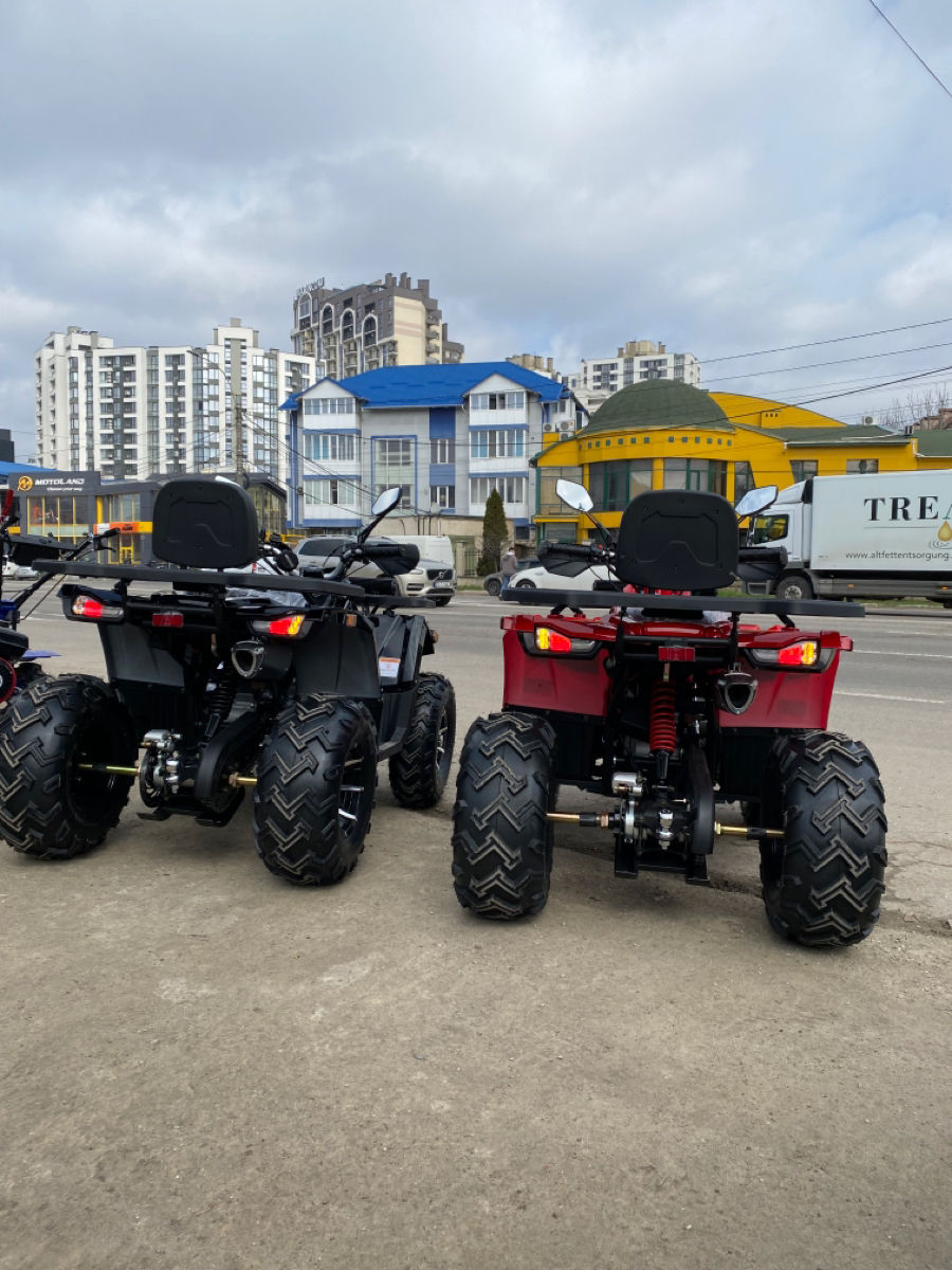 Viper 250 foto 9