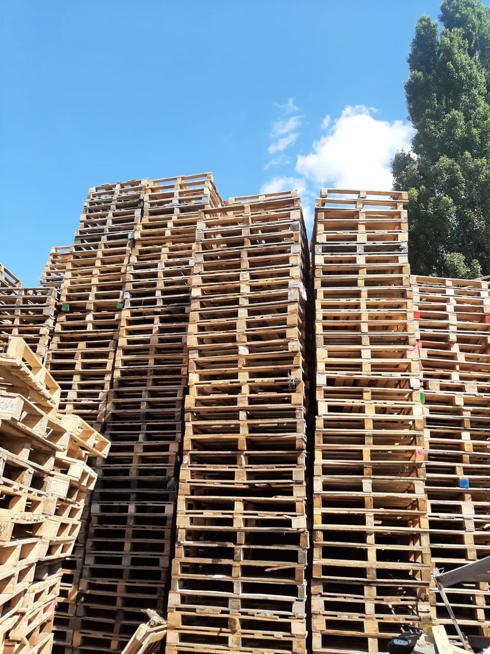 Vindem paleti/europaleti, lazi, lemne de foc, la cel mai bun pret!!! foto 0