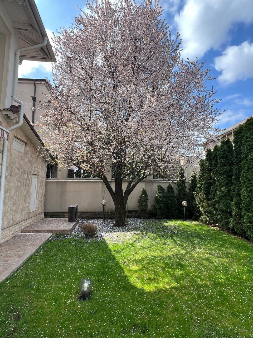 Casa For Rent la Valea Morilor -5500 euro. foto 9