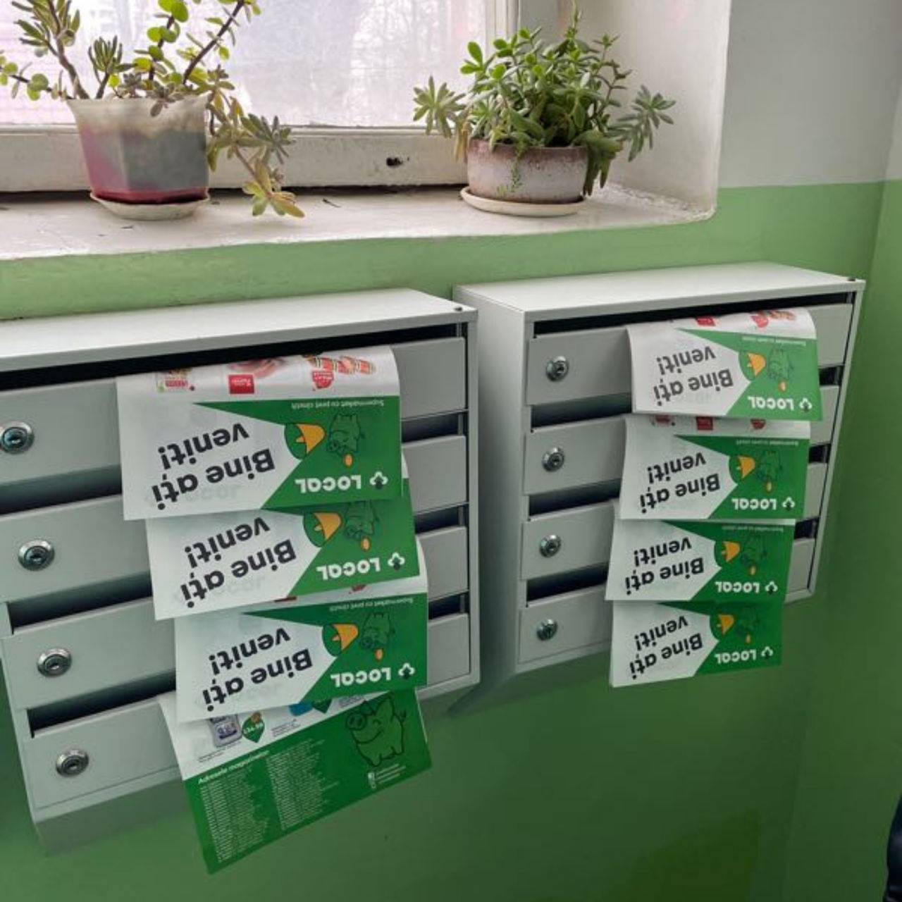 📬 Distribuție pliante / Broșuri / Sampling | Cu acoperire națională și raportare în timp real foto 2