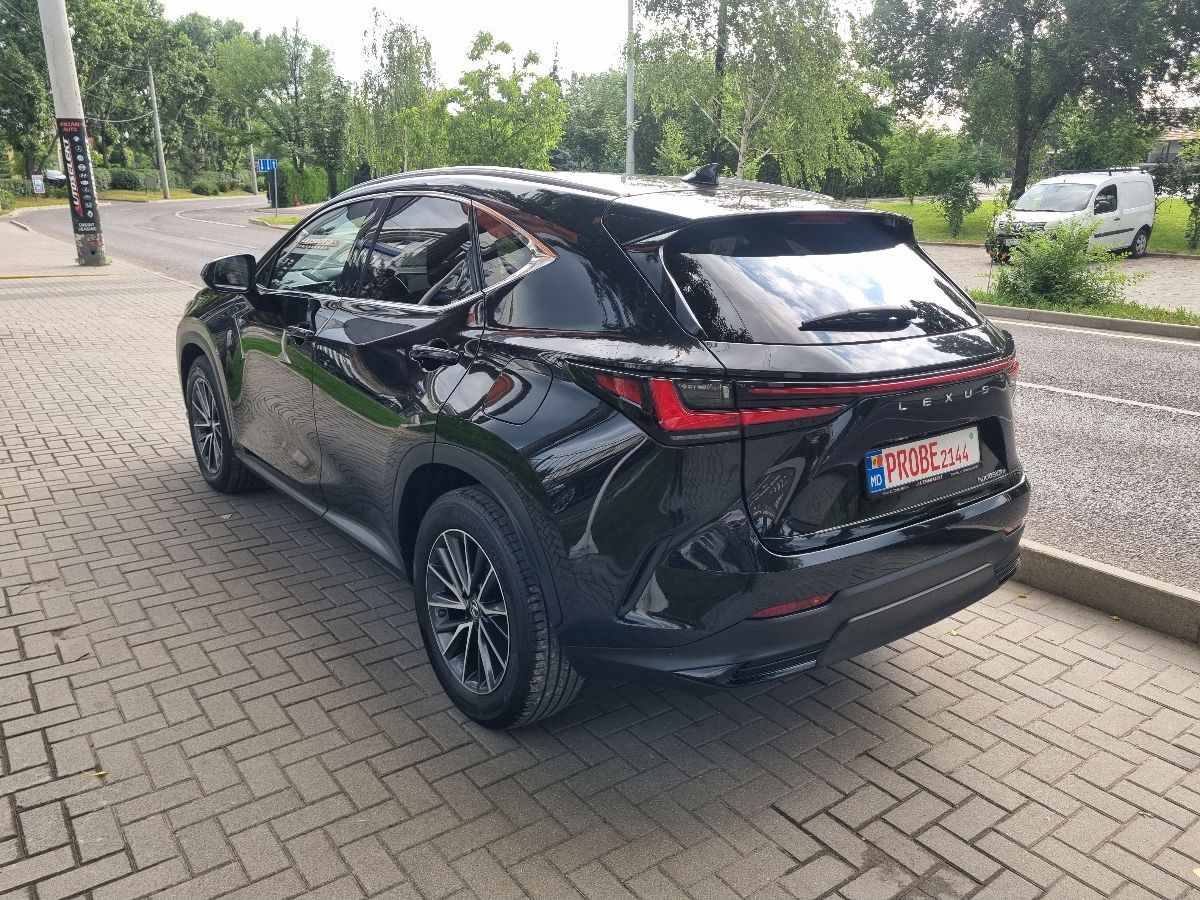 Lexus NX Series 2022 photo 7