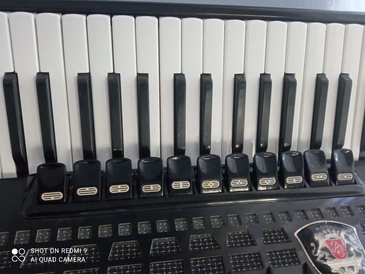 Acordeon Royal Standard  Meteor foto 3