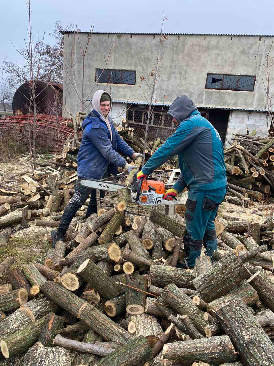 Удаление деревьев! foto 8