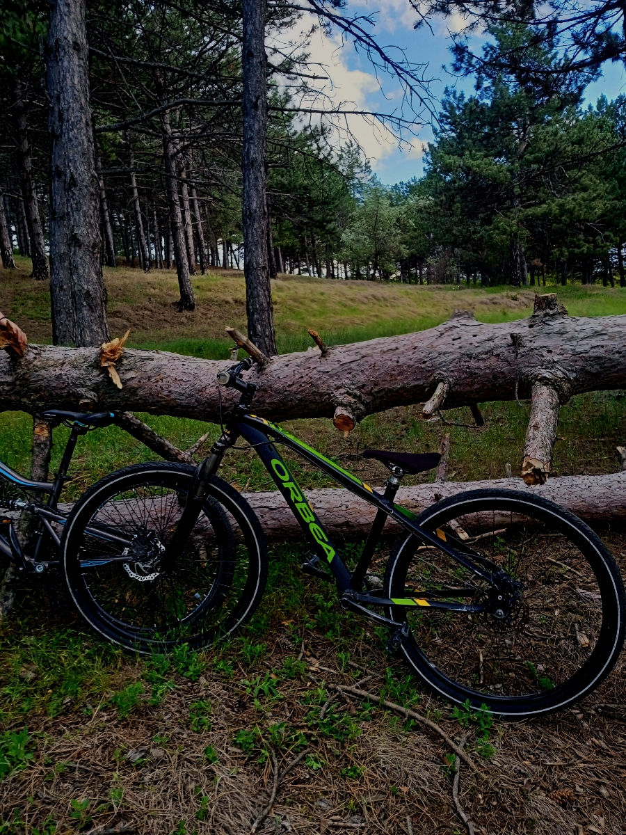 Orbea mx 26 dirt foto 0