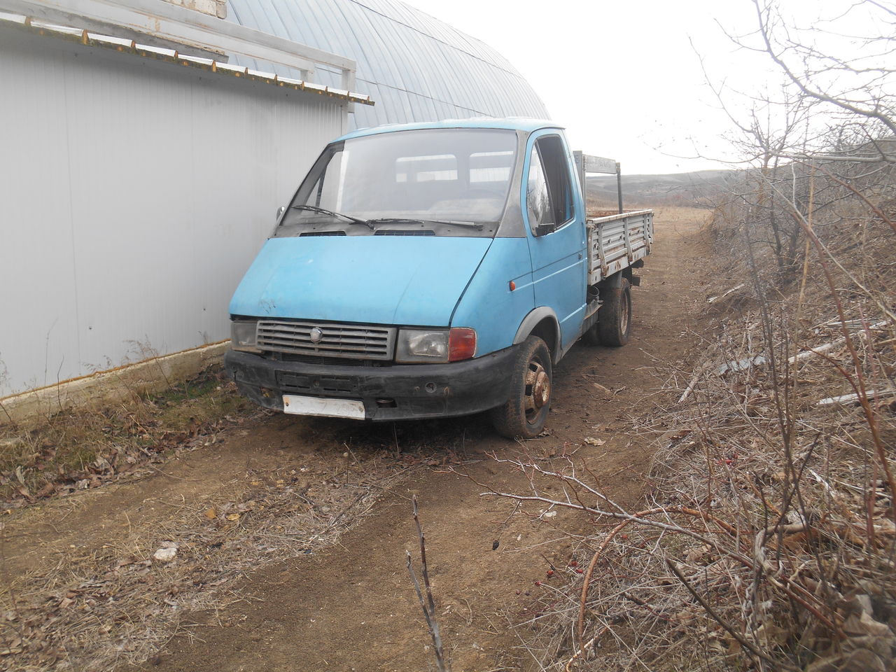 ГАЗ gazeli