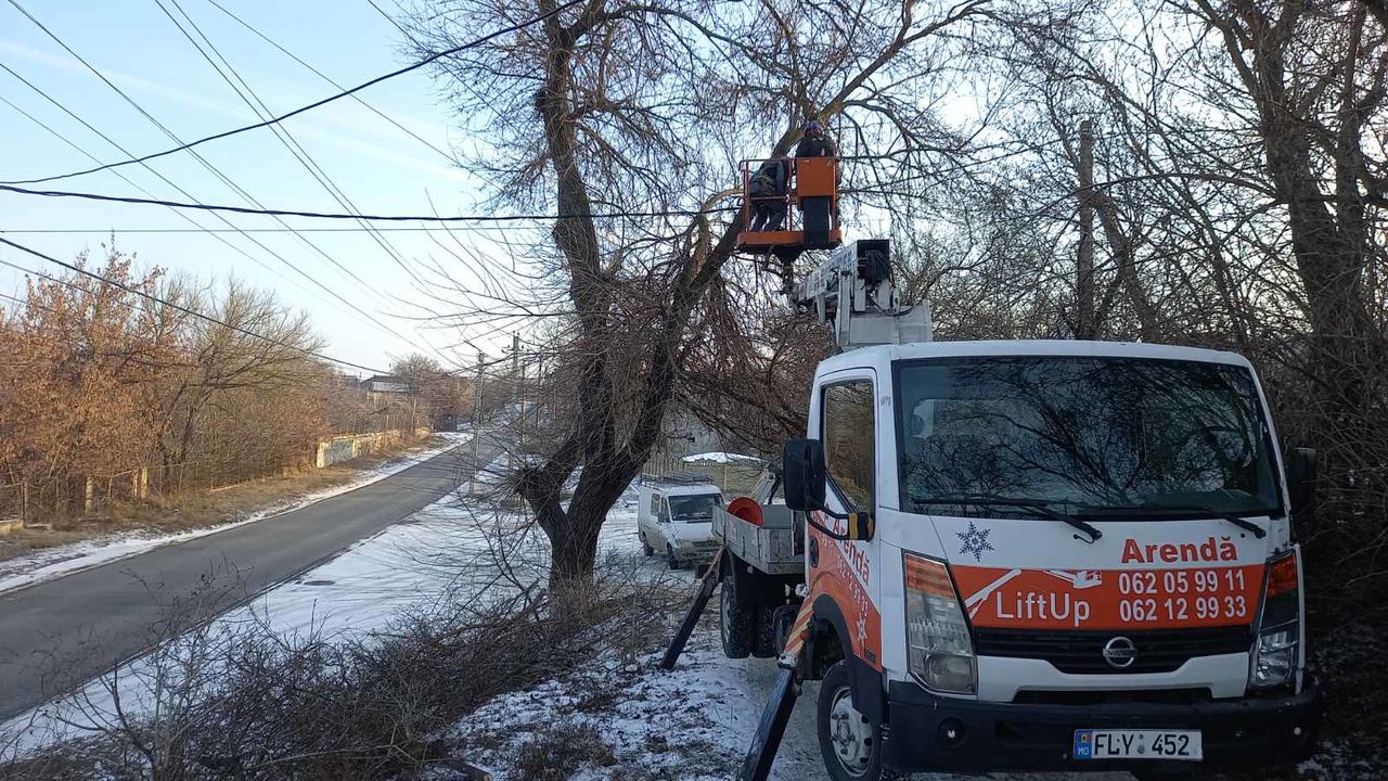 Taierea copacilor, crengilor, lucrari la inaltime cu Autoturnul! foto 2