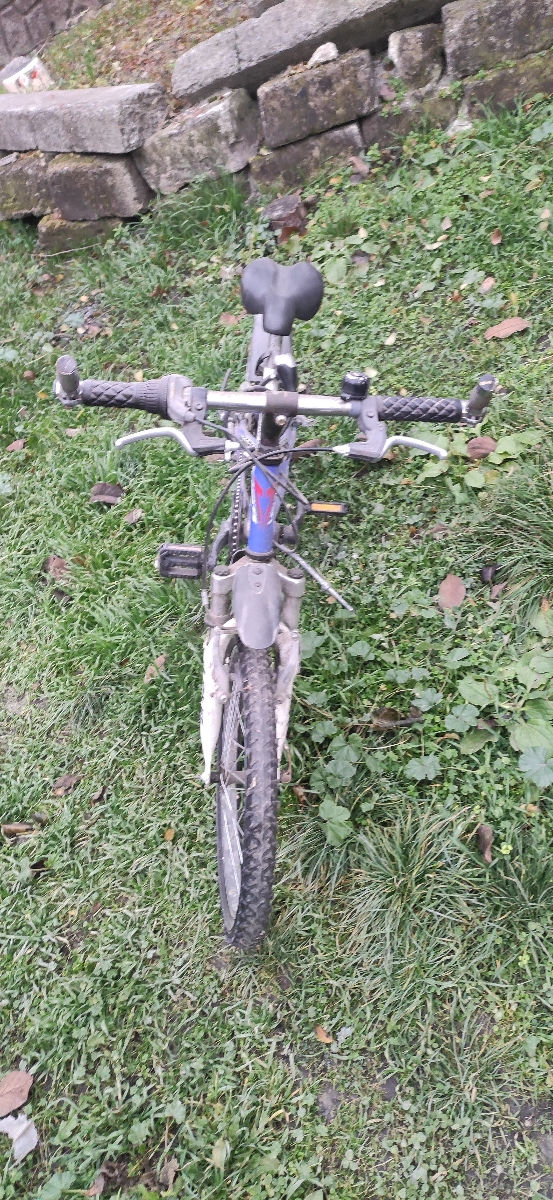 Bicicletă medie foto 1