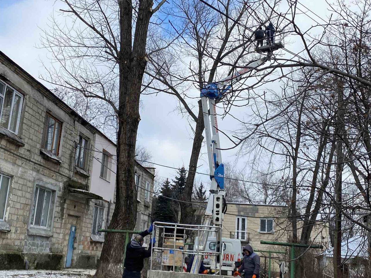 Taierea copacilor, crengilor, lucrari la inaltime cu Autoturnul! foto 13