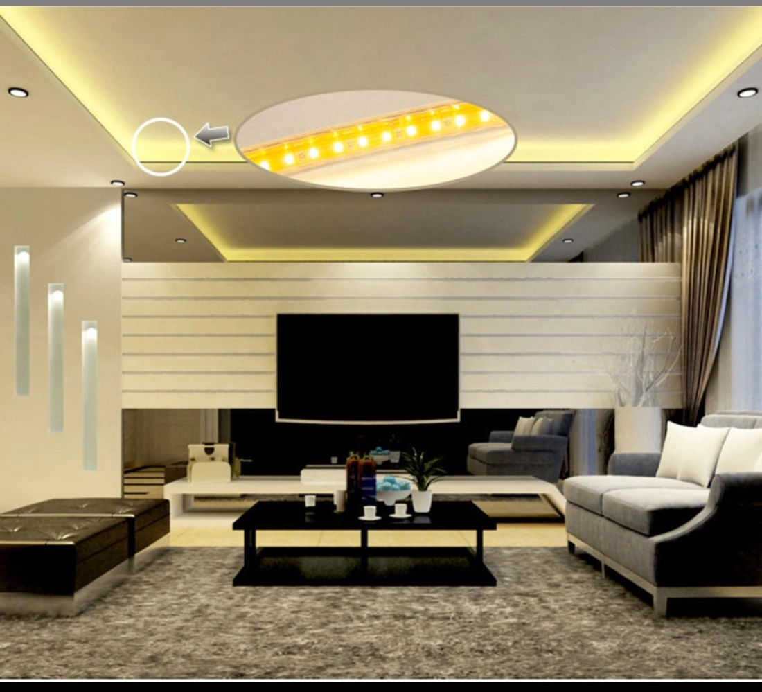 Banda Led 220V,Лед лента,alb,albastru,alb-cald,alb-albastru,rosu,verde,IP65. foto 6