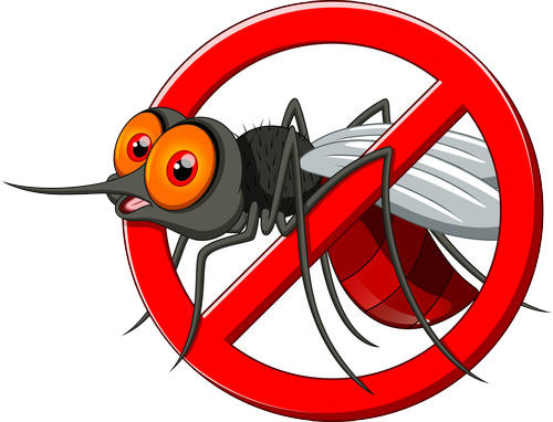 Plase anti-insecte!!!!!! foto 3