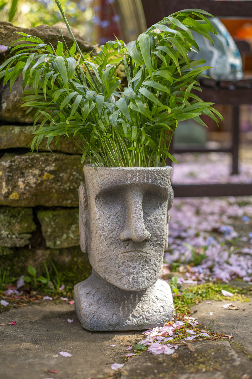 Easter Island Head Planter Medium