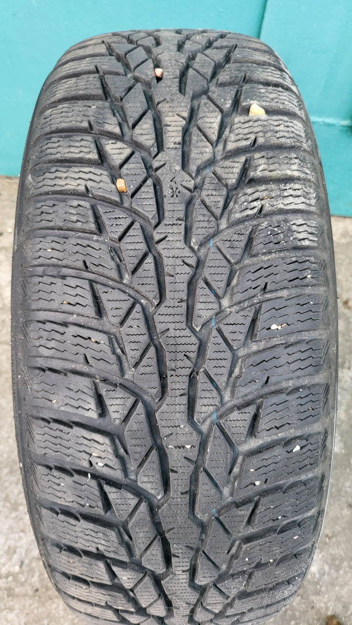 Nokian WR D4 205/55 R16