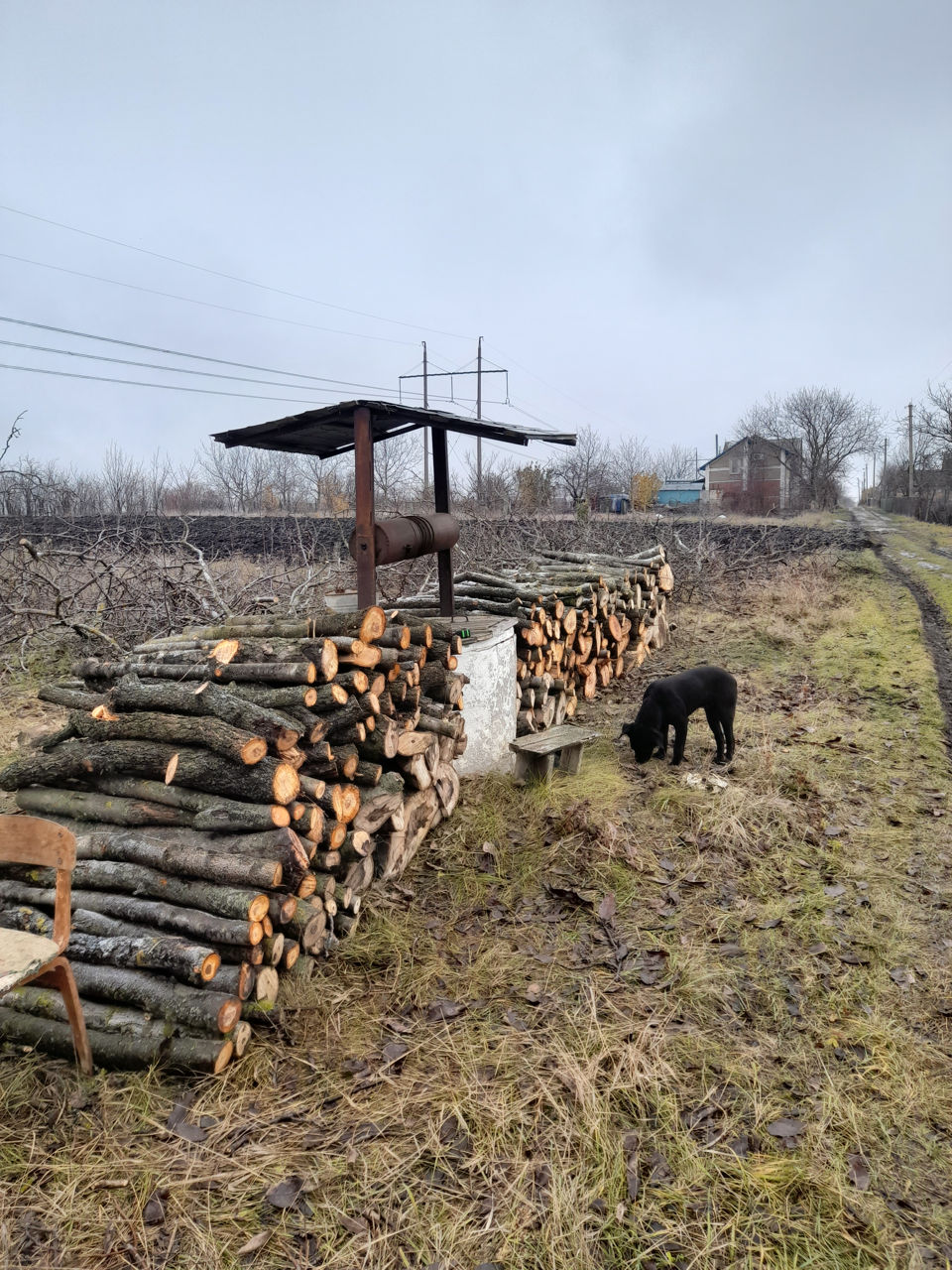 Дрова