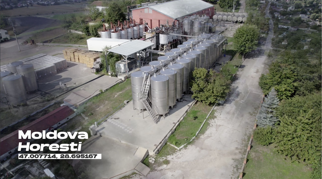Создаём эффектные ролики и таргет-рекламу для вашего бизнеса фото 5