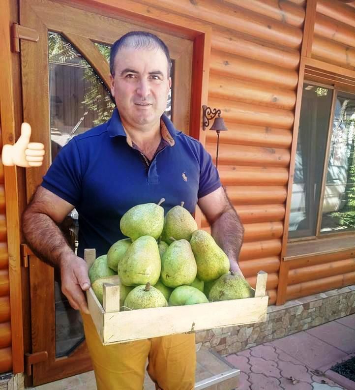 Pomi fructiferi !  Cais ( abricos ) și alte specii  ... foto 11