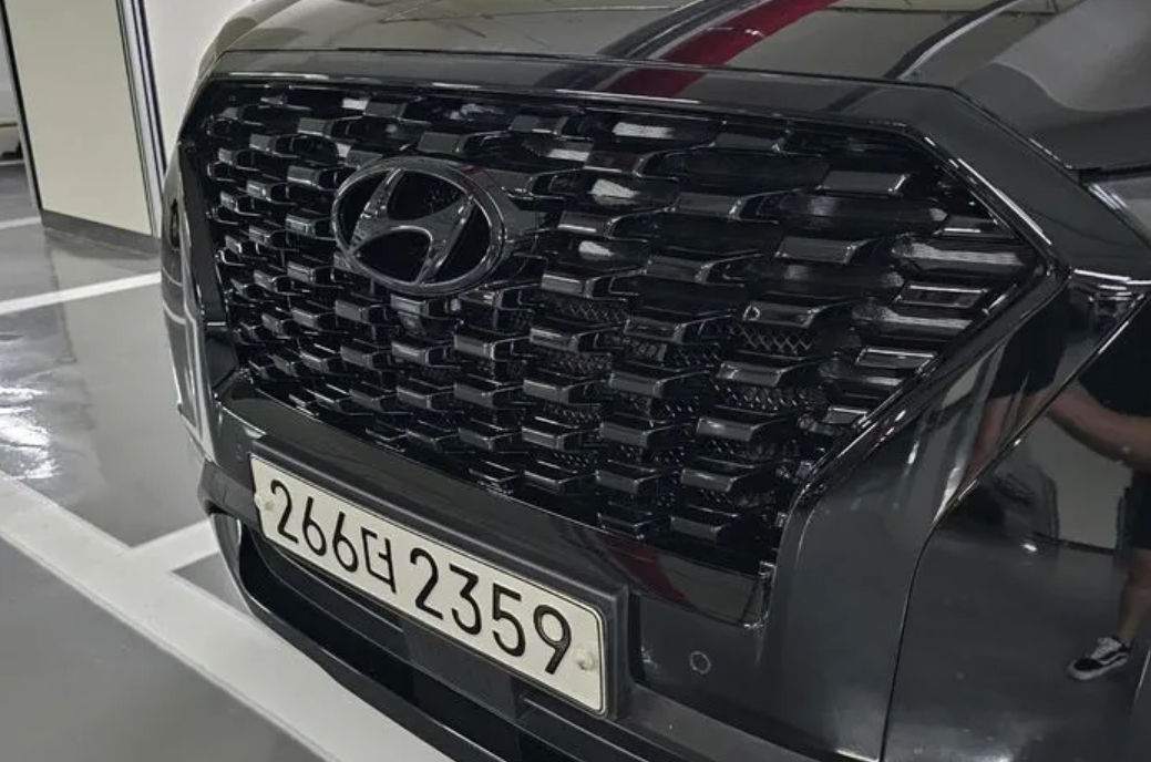 Hyundai Palisade foto 14