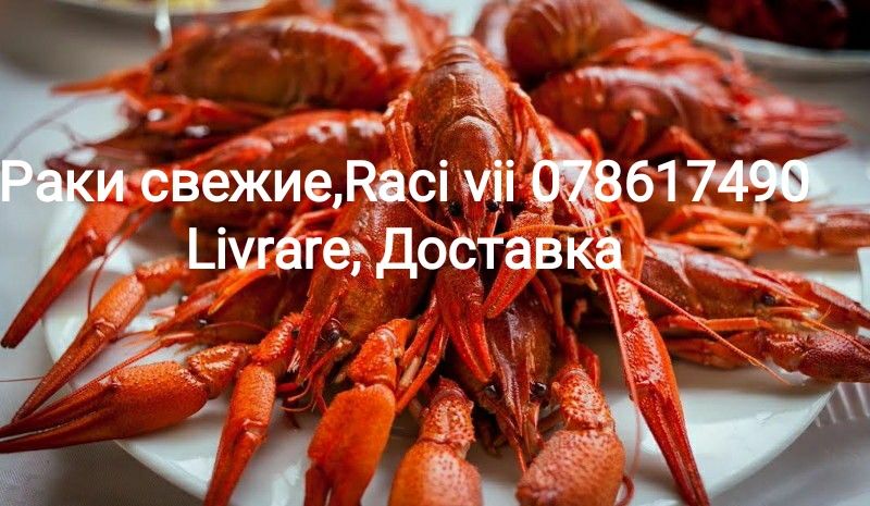 Раки к пиву, raci vii la bere , от 150 лей доставка 24/24