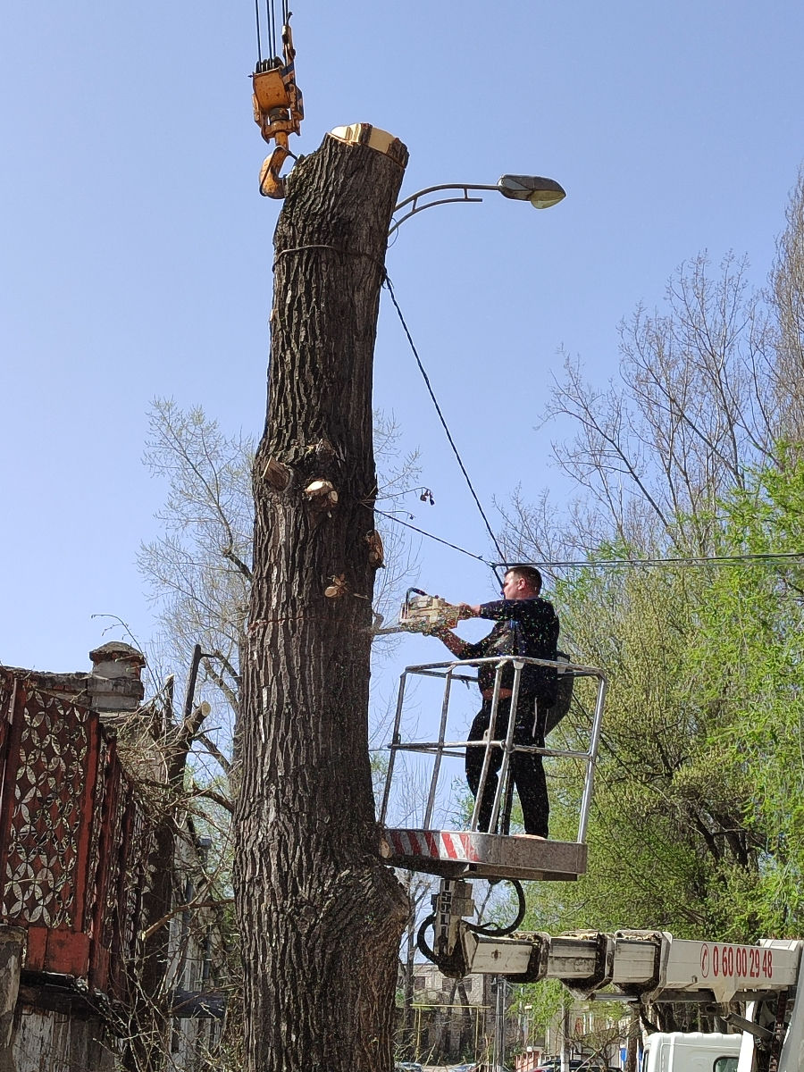 Doborîm arbori foarte mari și greu accesibili , lucrăm cu macaraua și autoturnul. foto 7