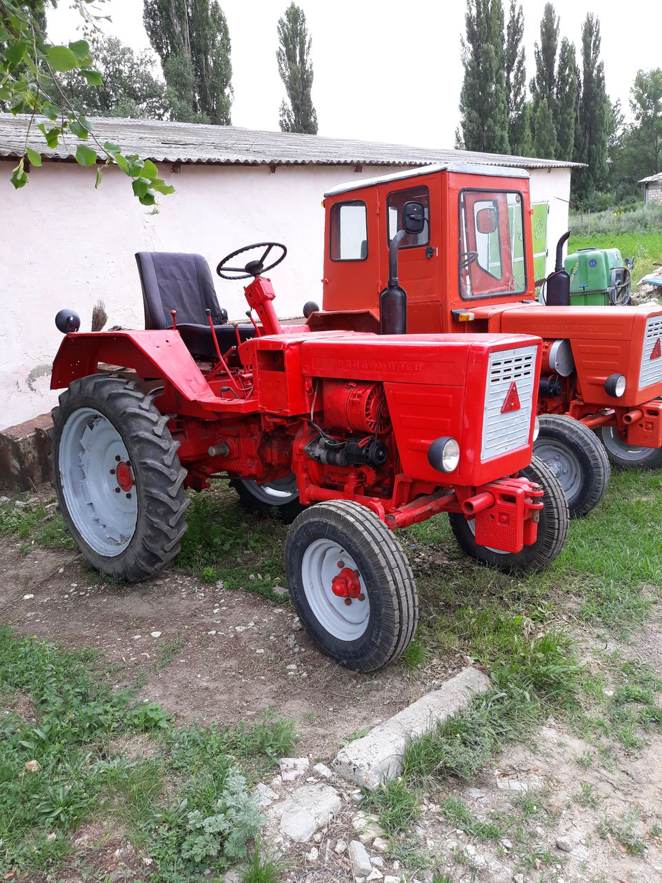 T 25