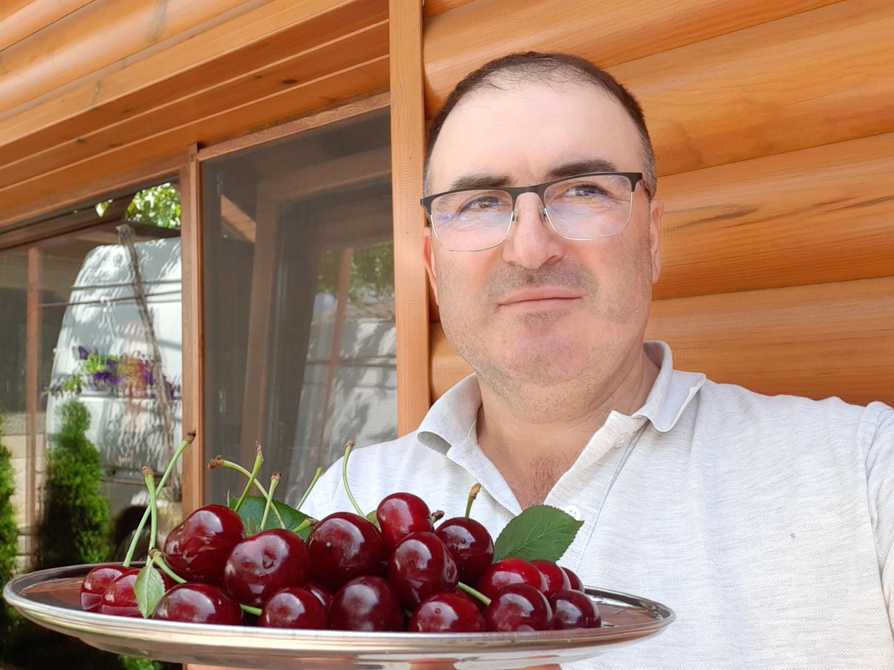 Pomi fructiferi ! Păr ( prăsad ) ,  vișin , cais ( abricos ) , persic , prun ( perj ) ... foto 7