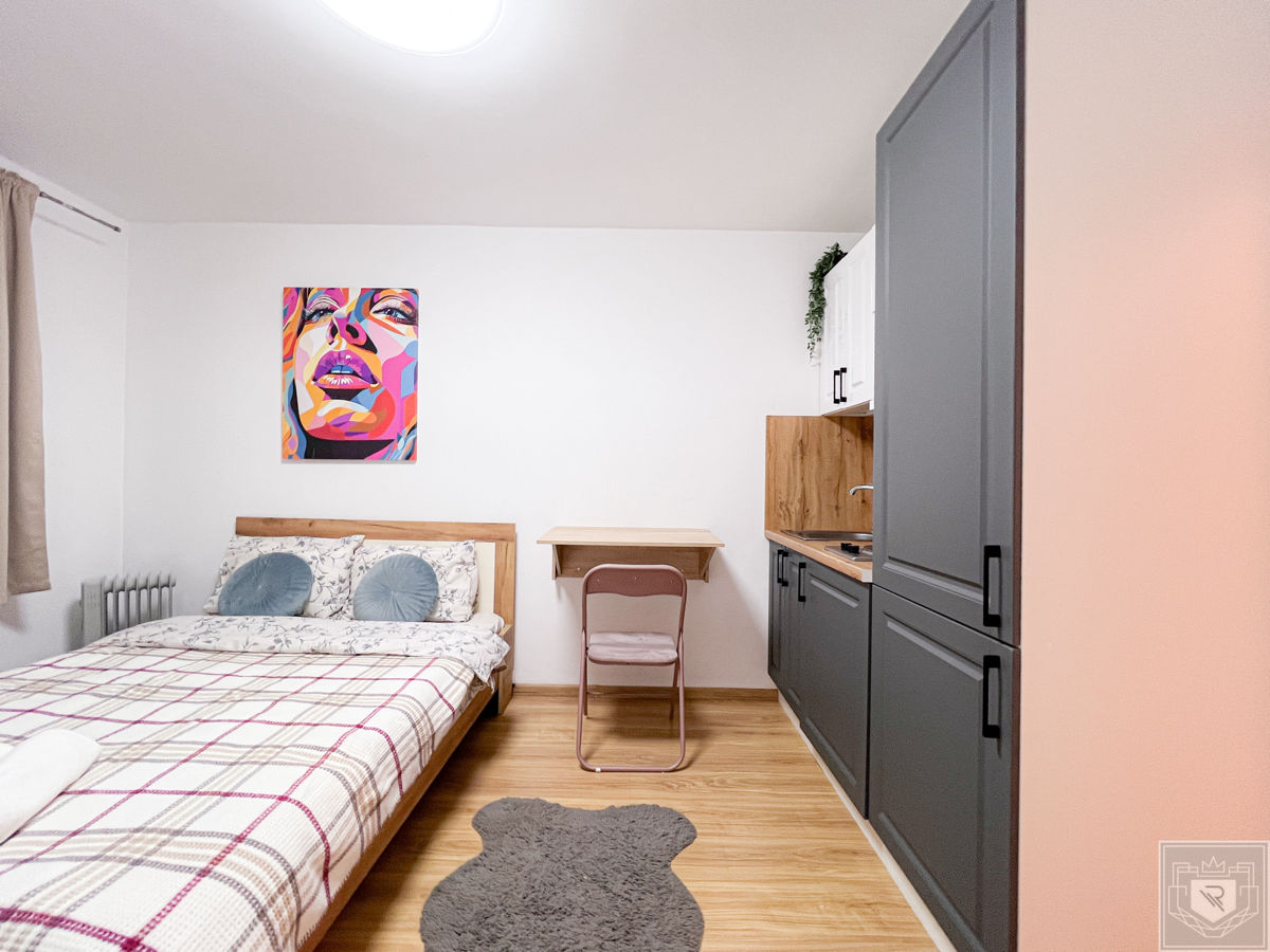 Apartament cu 1 cameră,  Botanica,  Chișinău,  Chișinău mun. foto 5