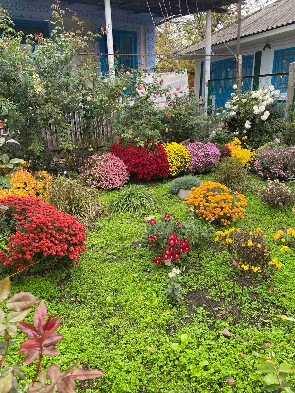 Дом, 150 м², Старые Биличены