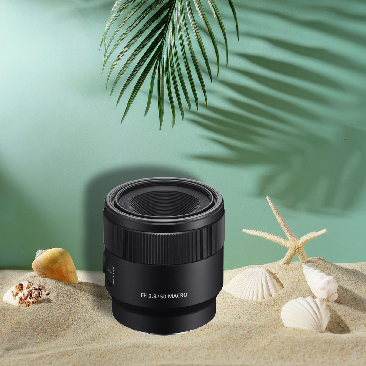 Sony FE 50mm f/2.8 Macro foto 0