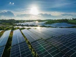 Cumpăr aviz de racordare pentru panouri fotovoltaice 1-2 MW foto 0
