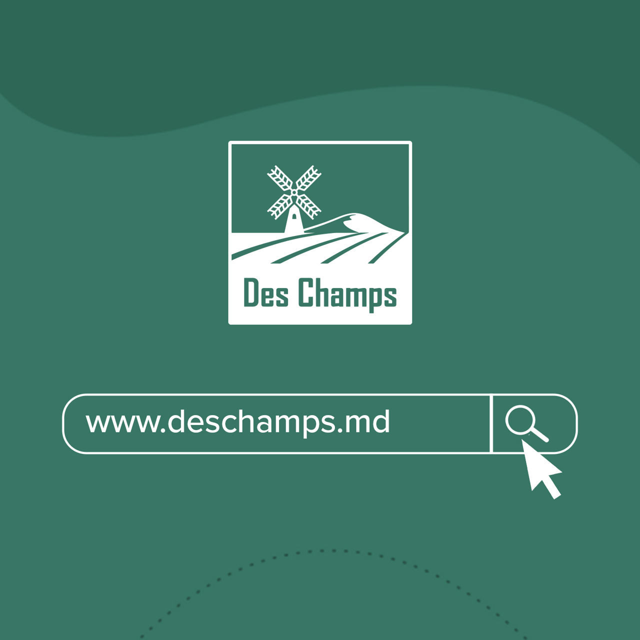 Deplumator prepelițe des champs eu profi desk foto 6