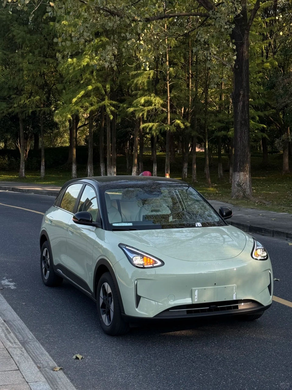 Geely Geome Xingyuan фото 2