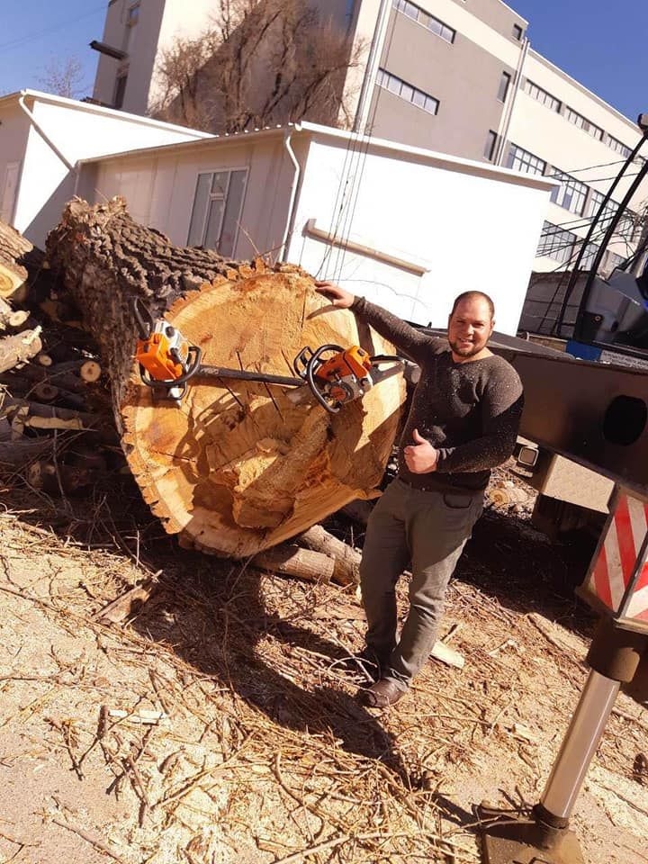 Удаление аварийного дерева, валка по частям. foto 0