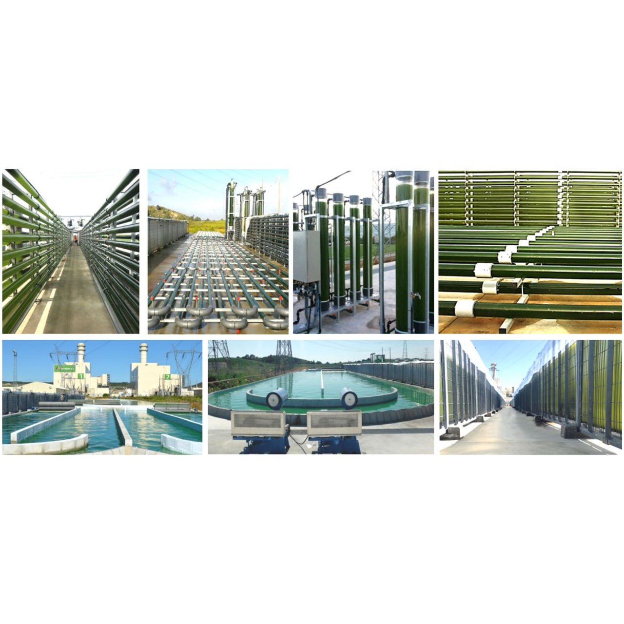 Microalge-dynamix, algaenergy foto 1