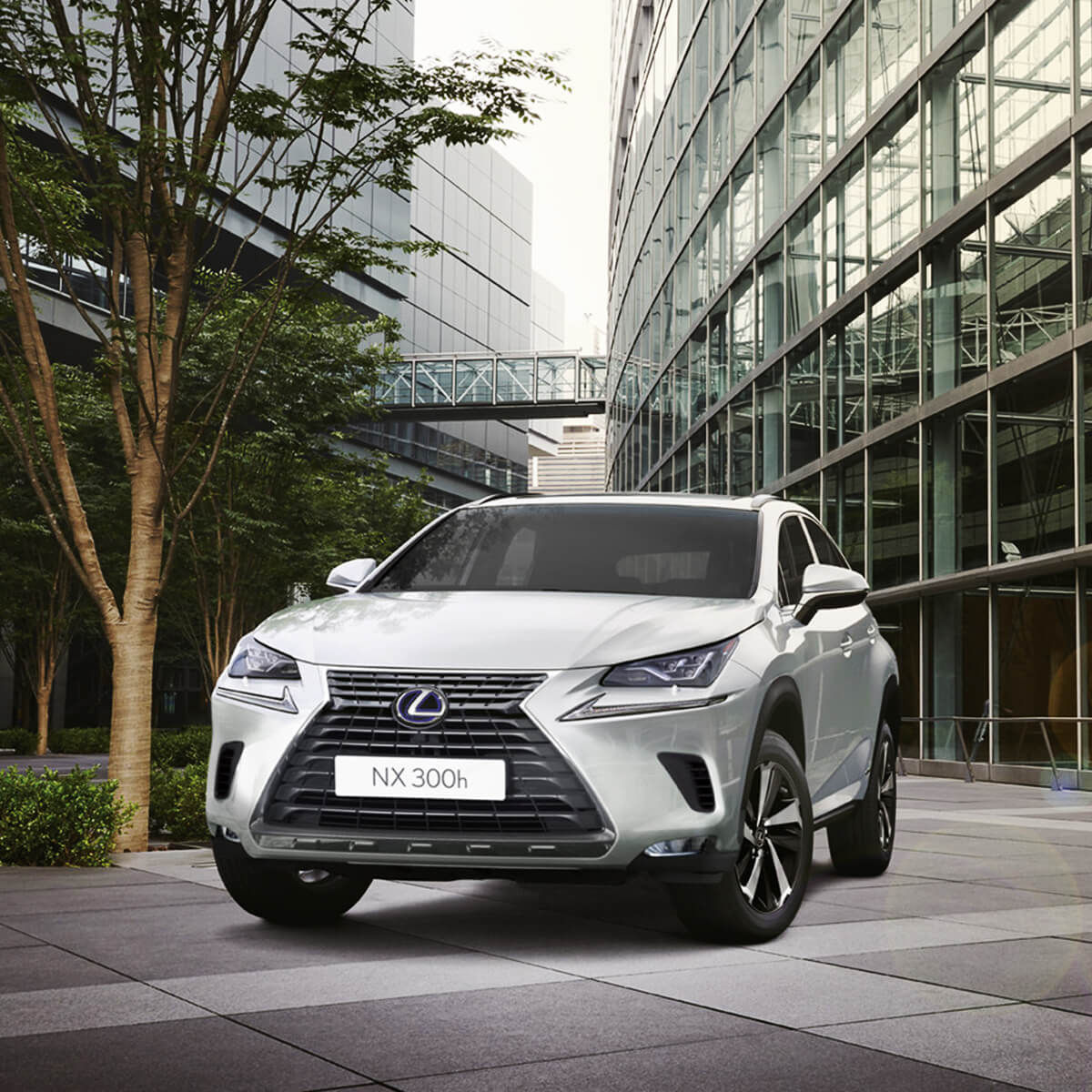 Piese Lexus NX foto 0