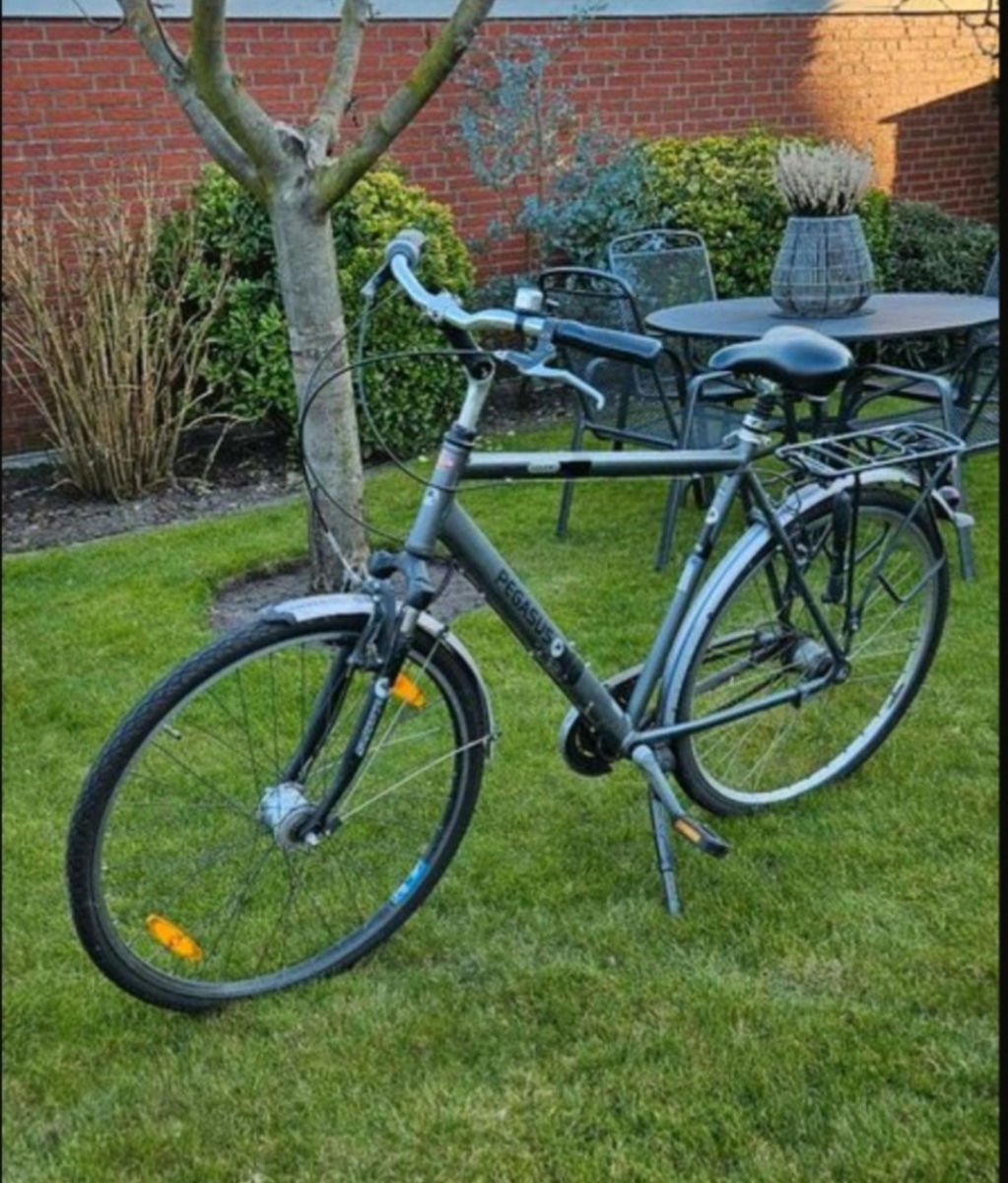 Bicicleta din Germania, Pegasus.  foto 0