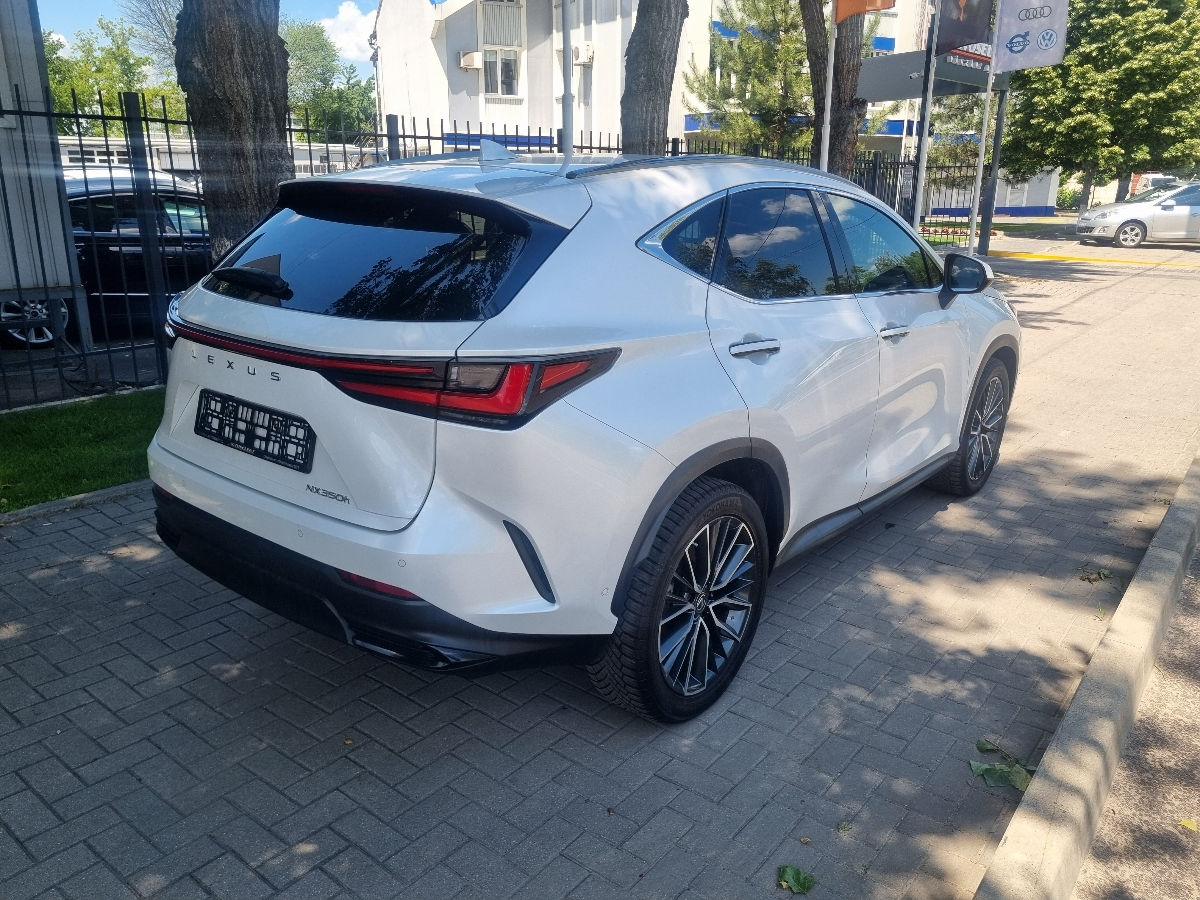 Lexus NX Series 2022 photo 6