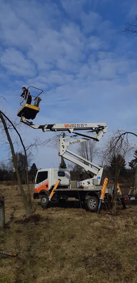 Tăierea copacilor înclinați sau deteriorați- cu masini si echipamente speciale .Calitatea garantată foto 2