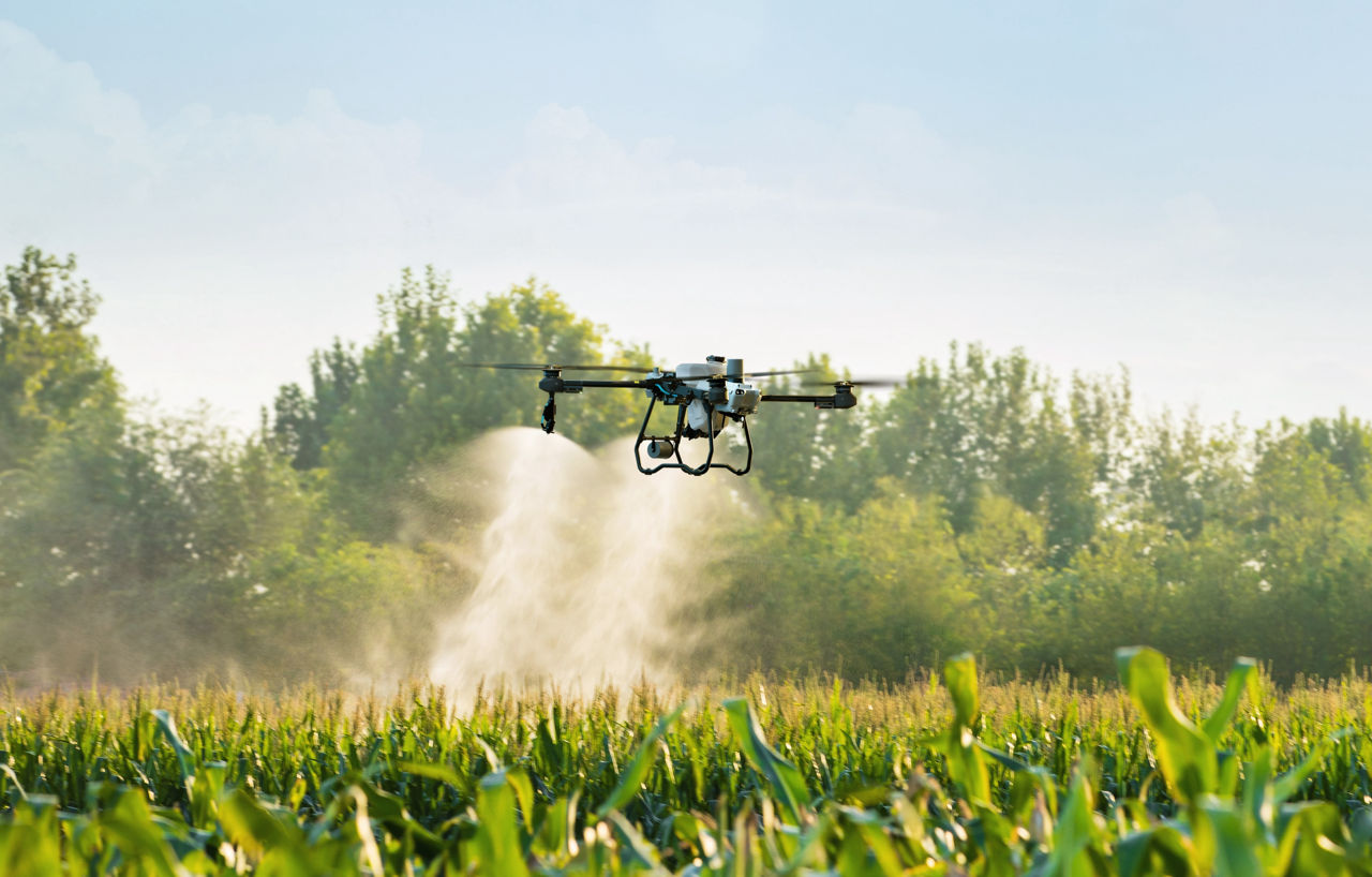 Stropire Agricolă Profesională cu Drone Agricole/ Профессиональное Опрыскивание Полей Агро Дронами  foto 2