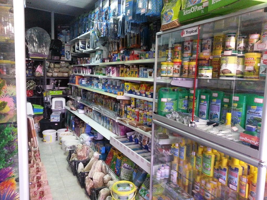 Magazine ZOOTERRA - o gamă largă de produse pentru animalele de companie ! foto 3