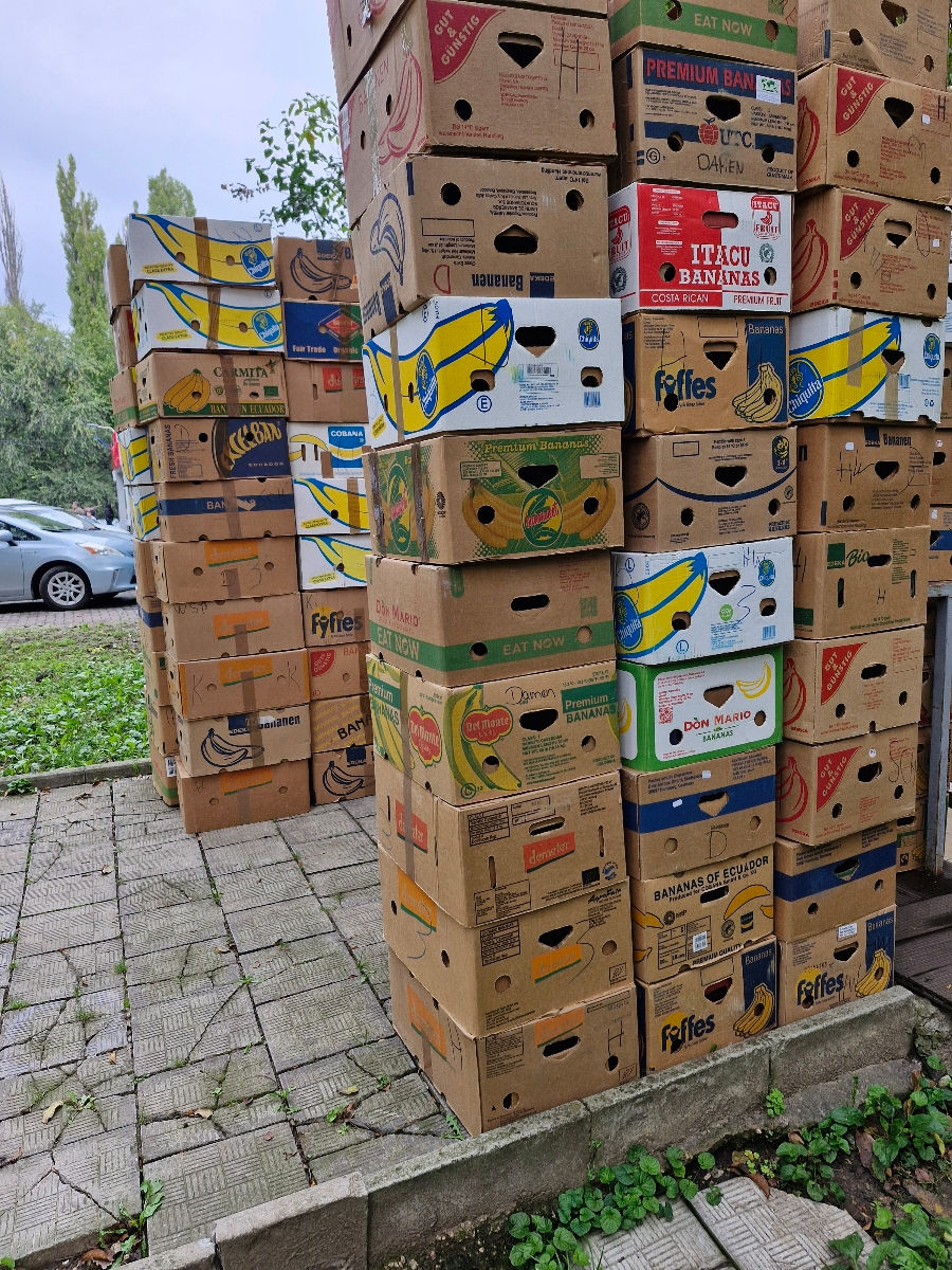 Cutii de banane foto 0